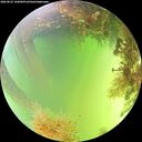 ./images/calvert/underwater/20260822/underwater20260822_144001M.jpg