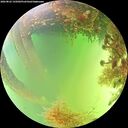 ./images/calvert/underwater/20260822/underwater20260822_145002M.jpg