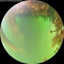 ./images/calvert/underwater/20260822/underwater20260822_145501M.jpg