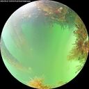 ./images/calvert/underwater/20260822/underwater20260822_150501M.jpg