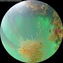 ./images/calvert/underwater/20260822/underwater20260822_154001M.jpg