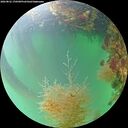 ./images/calvert/underwater/20260822/underwater20260822_170501M.jpg