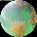 ./images/calvert/underwater/20260822/underwater20260822_171001M.jpg