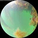 ./images/calvert/underwater/20260822/underwater20260822_171501M.jpg