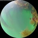 ./images/calvert/underwater/20260822/underwater20260822_181501M.jpg