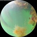 ./images/calvert/underwater/20260822/underwater20260822_184002M.jpg