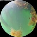 ./images/calvert/underwater/20260822/underwater20260822_184501M.jpg
