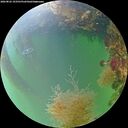 ./images/calvert/underwater/20260822/underwater20260822_193501M.jpg