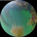 ./images/calvert/underwater/20260822/underwater20260822_201001M.jpg