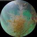 ./images/calvert/underwater/20260822/underwater20260822_202502M.jpg