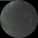 ./images/calvert/underwater/20260823/underwater20260823_060501M.jpg