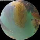 ./images/calvert/underwater/20260823/underwater20260823_065002M.jpg