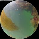 ./images/calvert/underwater/20260823/underwater20260823_065501M.jpg