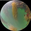 ./images/calvert/underwater/20260823/underwater20260823_070501M.jpg