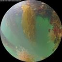./images/calvert/underwater/20260823/underwater20260823_071001M.jpg