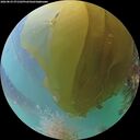 ./images/calvert/underwater/20260823/underwater20260823_071502M.jpg