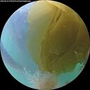 ./images/calvert/underwater/20260823/underwater20260823_072002M.jpg