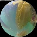 ./images/calvert/underwater/20260823/underwater20260823_072501M.jpg