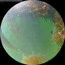 ./images/calvert/underwater/20260823/underwater20260823_074501M.jpg