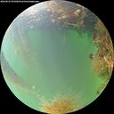 ./images/calvert/underwater/20260823/underwater20260823_075002M.jpg