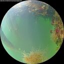 ./images/calvert/underwater/20260823/underwater20260823_080501M.jpg