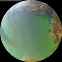 ./images/calvert/underwater/20260823/underwater20260823_084001M.jpg