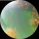 ./images/calvert/underwater/20260823/underwater20260823_085502M.jpg