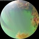 ./images/calvert/underwater/20260823/underwater20260823_092501M.jpg