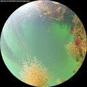 ./images/calvert/underwater/20260823/underwater20260823_095002M.jpg