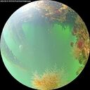 ./images/calvert/underwater/20260823/underwater20260823_095501M.jpg