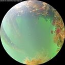 ./images/calvert/underwater/20260823/underwater20260823_101002M.jpg