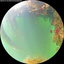 ./images/calvert/underwater/20260823/underwater20260823_101501M.jpg