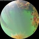 ./images/calvert/underwater/20260823/underwater20260823_102002M.jpg