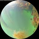 ./images/calvert/underwater/20260823/underwater20260823_103001M.jpg