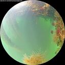 ./images/calvert/underwater/20260823/underwater20260823_103501M.jpg