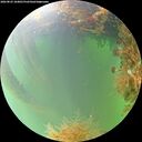 ./images/calvert/underwater/20260823/underwater20260823_104001M.jpg