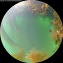 ./images/calvert/underwater/20260823/underwater20260823_110501M.jpg