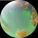 ./images/calvert/underwater/20260823/underwater20260823_111002M.jpg