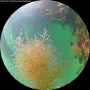 ./images/calvert/underwater/20260823/underwater20260823_112501M.jpg