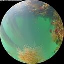 ./images/calvert/underwater/20260823/underwater20260823_113001M.jpg
