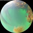 ./images/calvert/underwater/20260823/underwater20260823_114001M.jpg