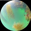 ./images/calvert/underwater/20260823/underwater20260823_114501M.jpg