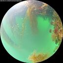 ./images/calvert/underwater/20260823/underwater20260823_115001M.jpg