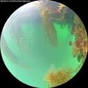 ./images/calvert/underwater/20260823/underwater20260823_115501M.jpg