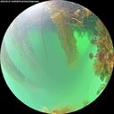 ./images/calvert/underwater/20260823/underwater20260823_120001M.jpg