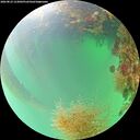 ./images/calvert/underwater/20260823/underwater20260823_123001M.jpg
