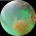./images/calvert/underwater/20260823/underwater20260823_125001M.jpg
