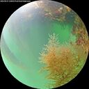 ./images/calvert/underwater/20260823/underwater20260823_130001M.jpg