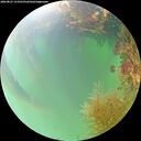 ./images/calvert/underwater/20260823/underwater20260823_133501M.jpg