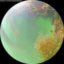 ./images/calvert/underwater/20260823/underwater20260823_135501M.jpg